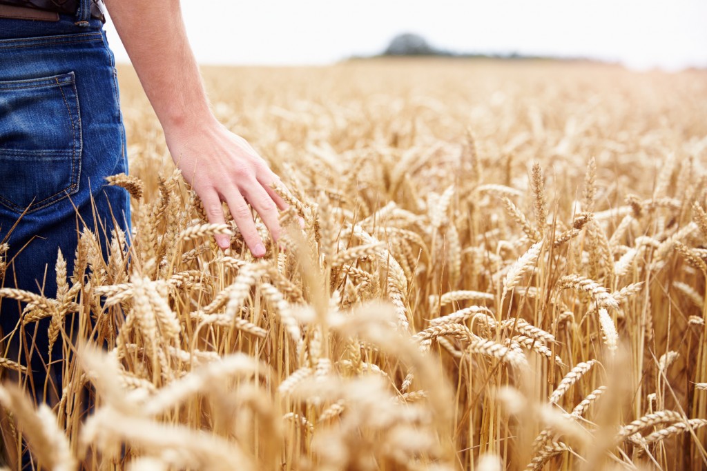 Next Phase of Agricultural Innovation Begins Now