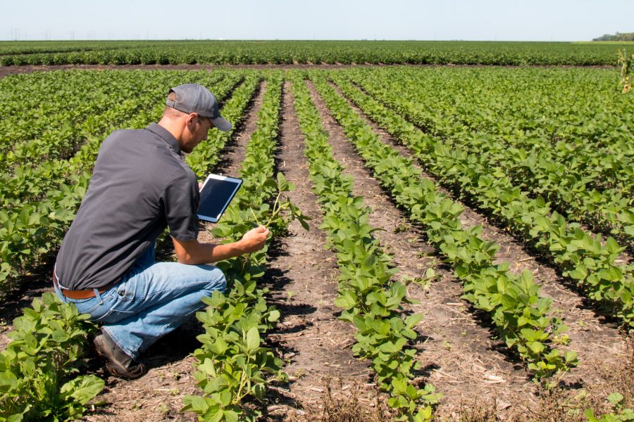 changes in Agriculture