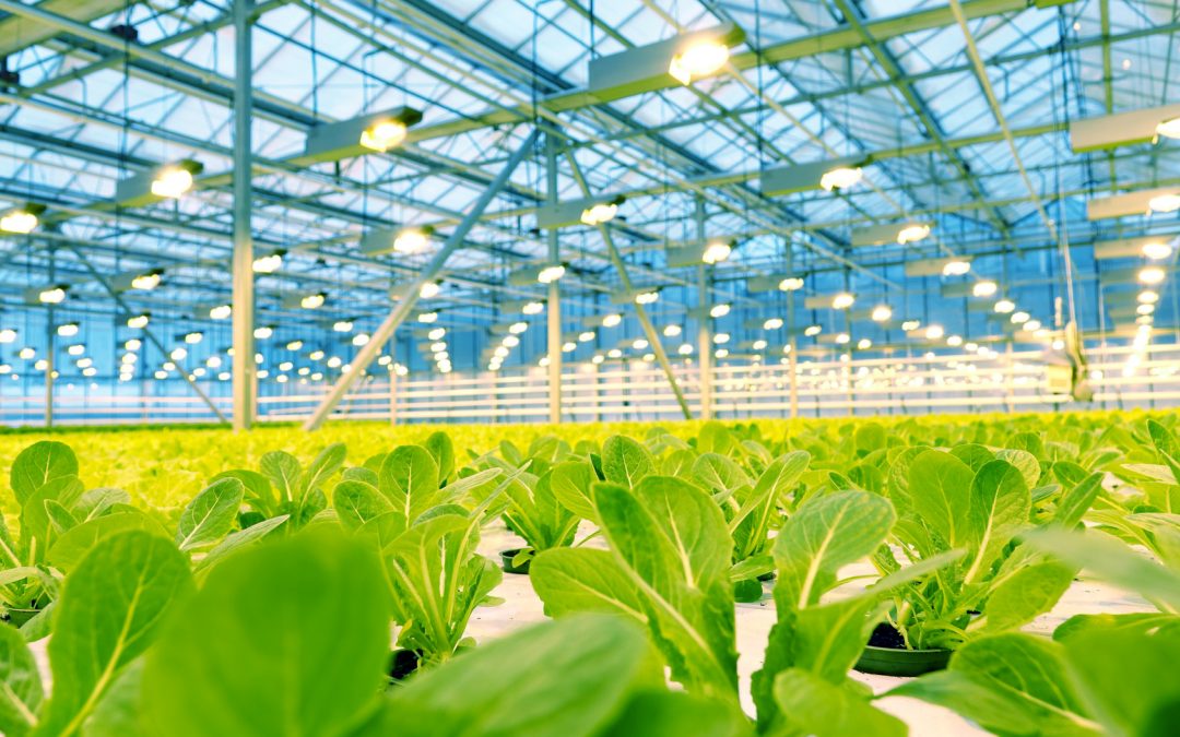 Agrilyst: Developing New Tools to Help Indoor Farmers Thrive