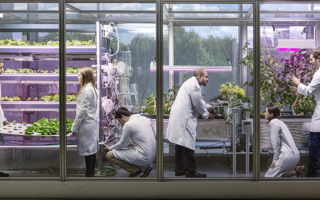 MIT OpenAg Is the Future of Agriculture. Here’s How We’re Helping
