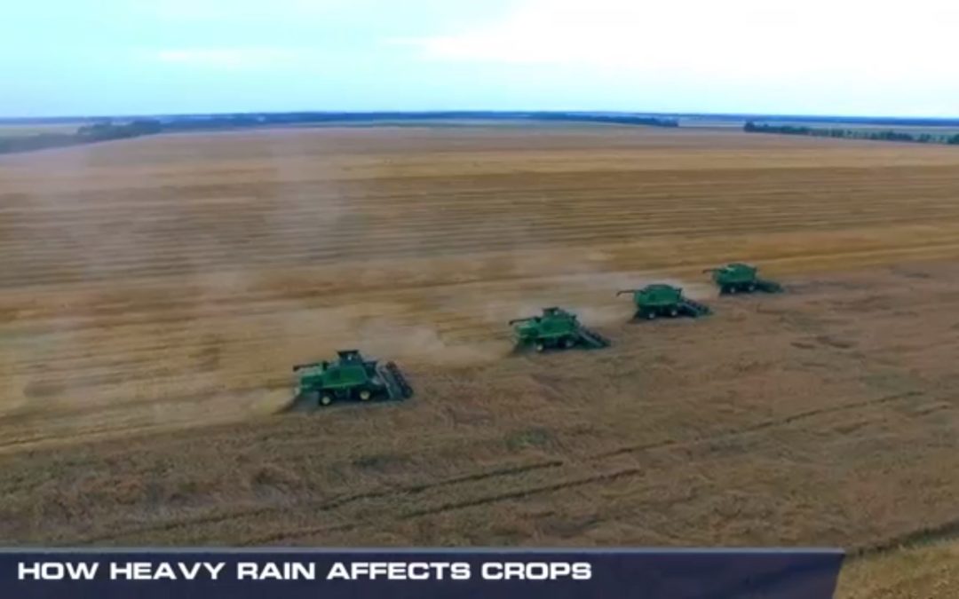 How Heavy Rains Affect Crops