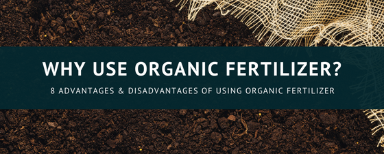 8 Advantages and Disadvantages of Using Organic Fertilizer
