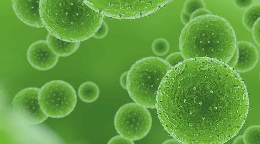 Nanopore Diagnostics: Microbe Testing That’s Cheap, Easy and Portable