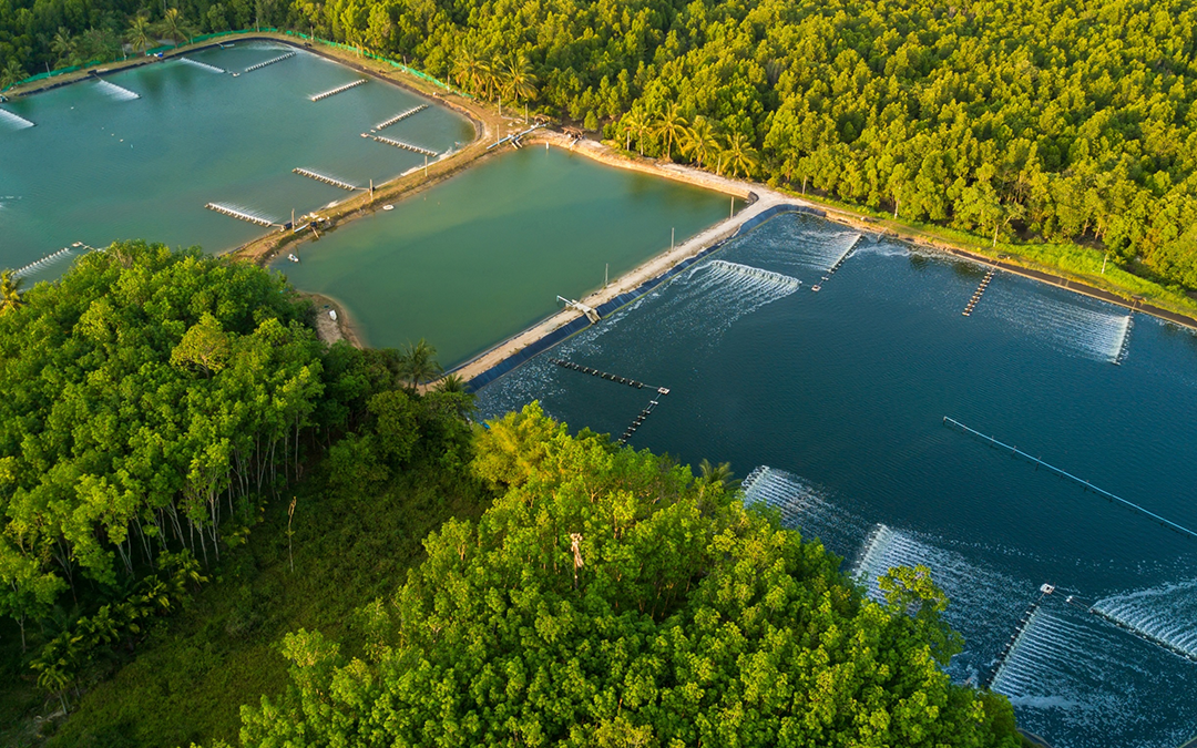 Osmo Systems: Water Quality Sensors That Are Made for the Pond