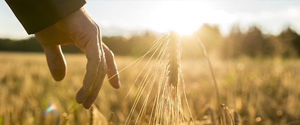 FarmLead: Buy & Sell Grains with Ease