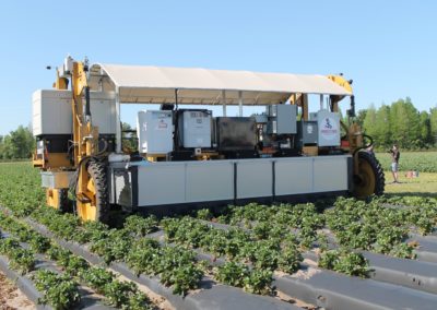 Automating the Harvest, One Strawberry at a Time