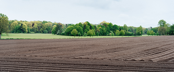 Tillable: Airbnb for Farmland is Here