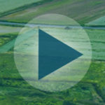 world agriculture