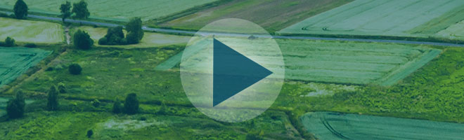 COVID-19: Implications Across the Food System