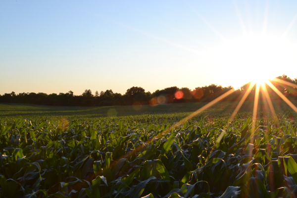 AgTech Disruption