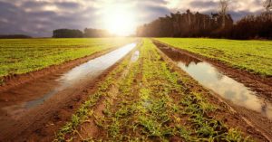 AgriFood Conversations - Holganix Webinar