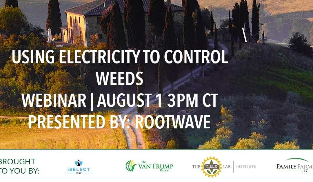 RootWave: Using Electricity to Control Weeds