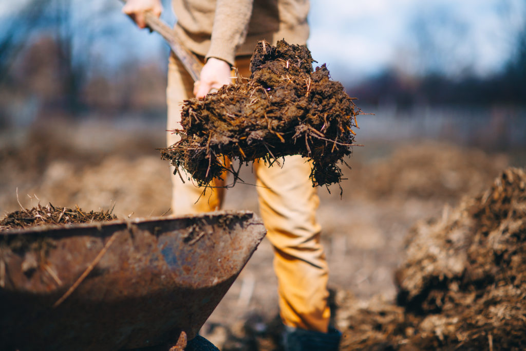 soil health