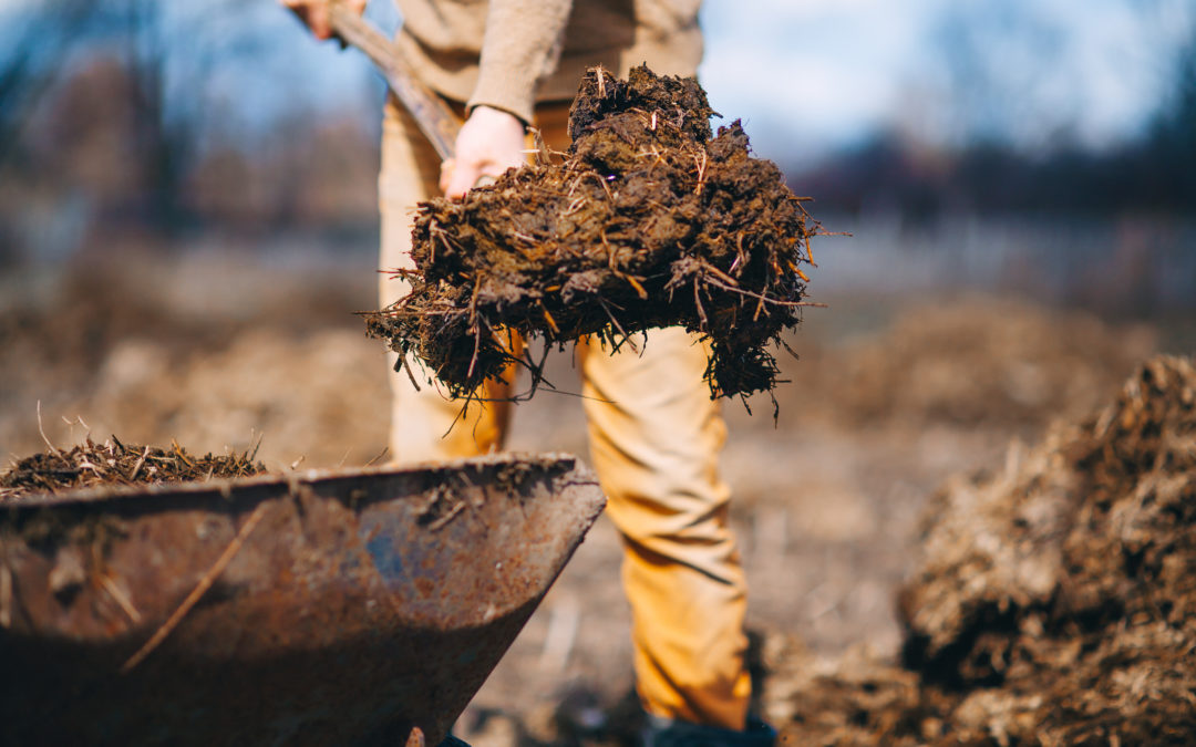 Healthier Food Starts in the Soil. Here’s Why.