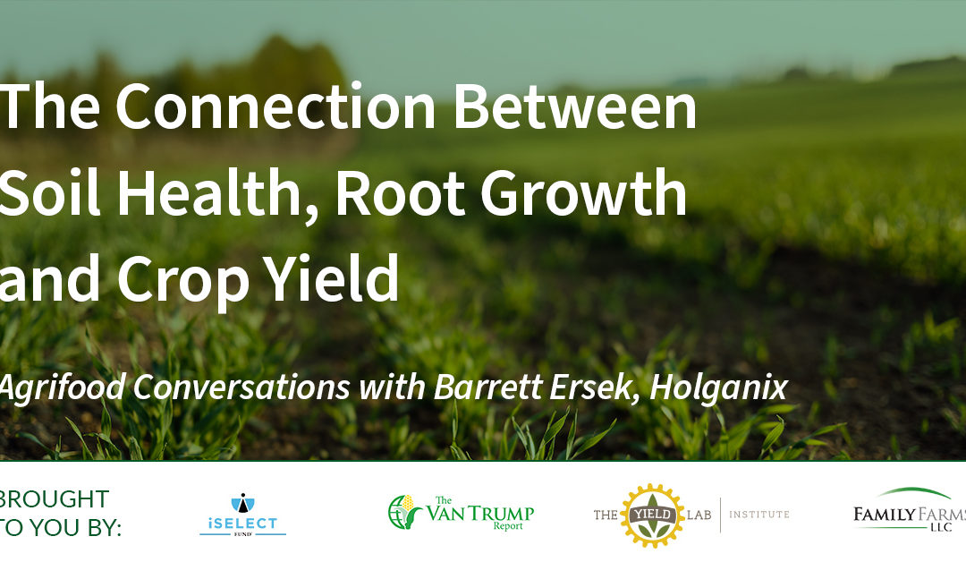 Holganix: The Connection Between Soil Health, Root Growth and Crop Yield