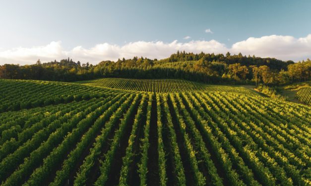 The Future of Crop Protection is Sustainable, and These are the Companies That Will Get Us There