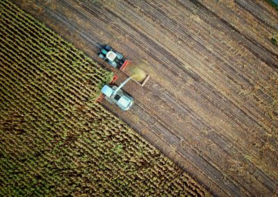 The Role That Agriculture is Playing in Decarbonization