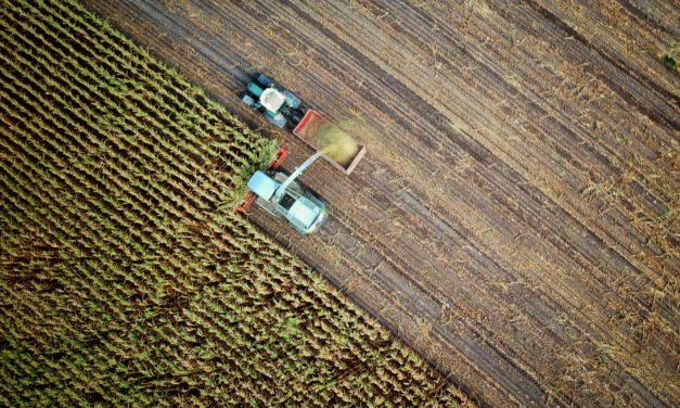 The Role That Agriculture is Playing in Decarbonization