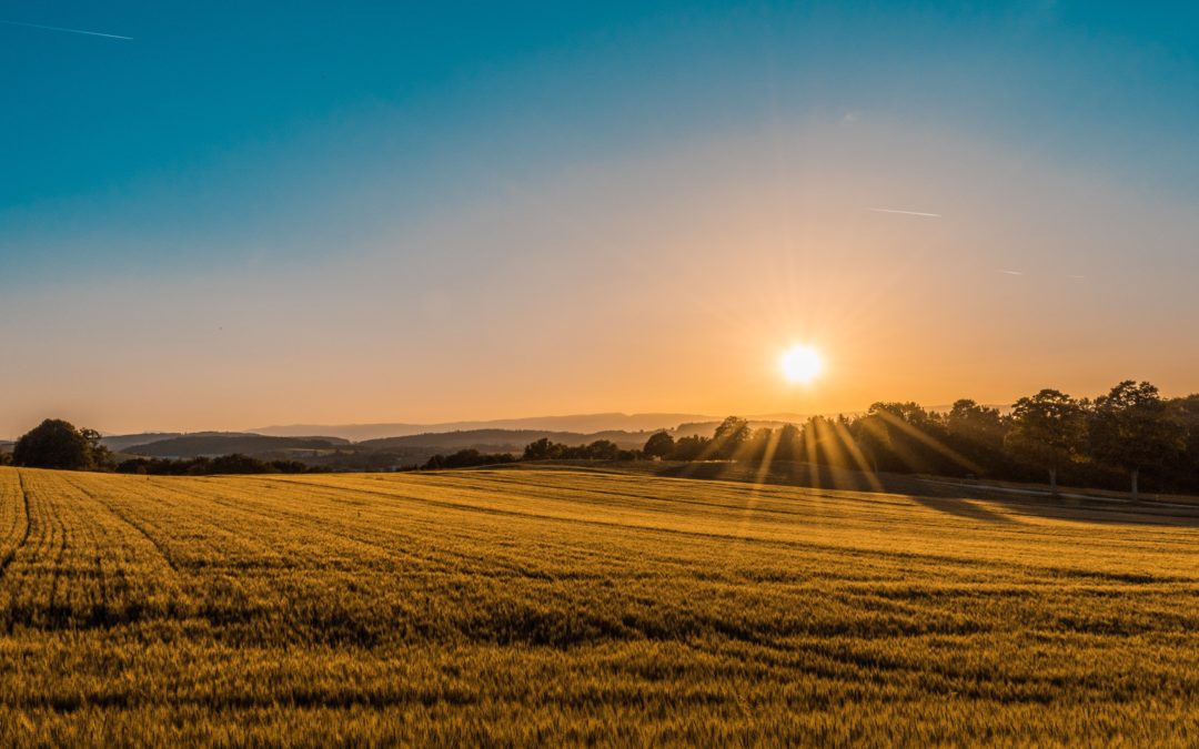 How Ag Companies are Impacting Carbon Capture Efforts