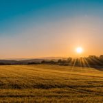 Farmland