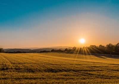 How Ag Companies are Impacting Carbon Capture Efforts