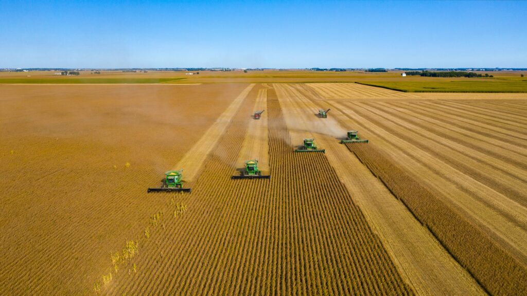 Tractors on a field