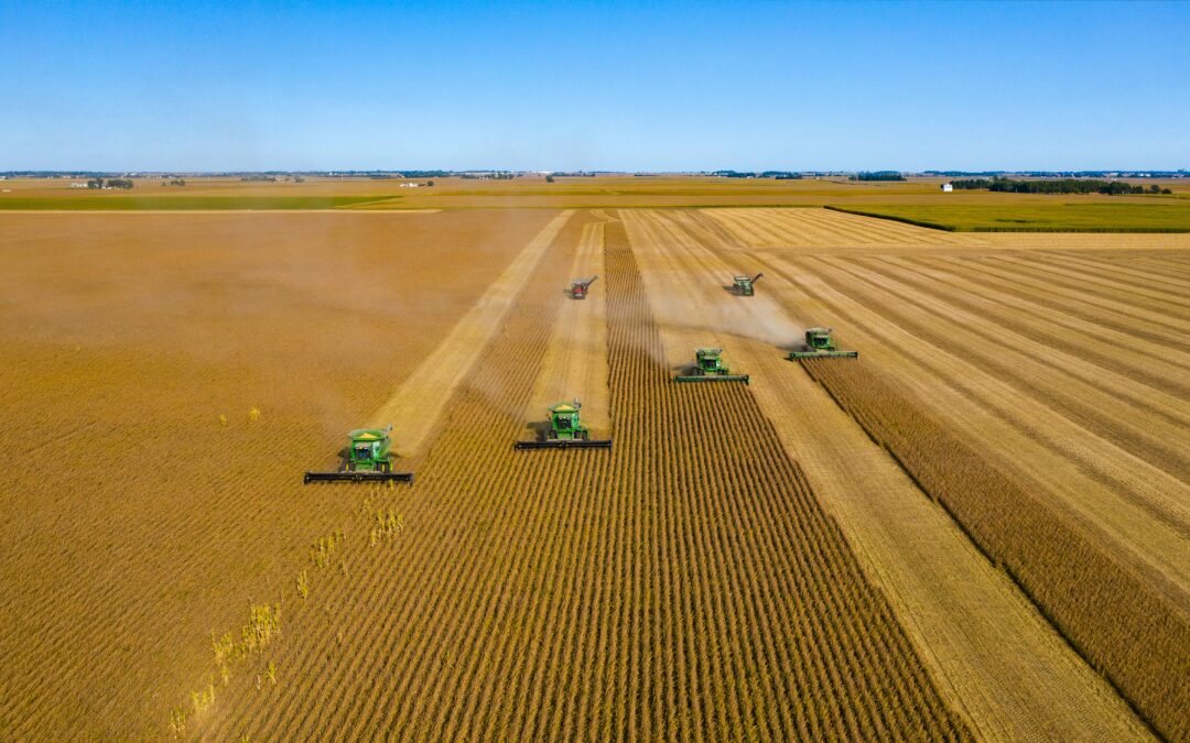 Tractors on a field